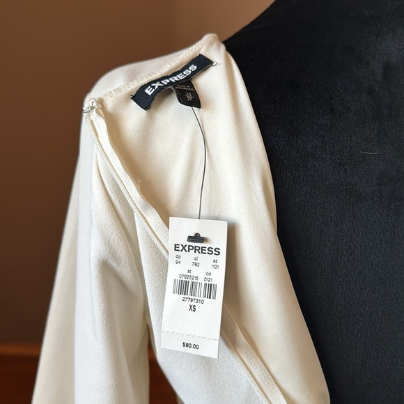 Express Balloon Sleeve Fit and Flare Dress - Picture 5 of 5